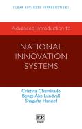 Advanced Introduction To National Innovation Systems