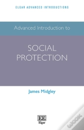 Advanced Introduction To Social Protection