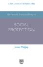 Advanced Introduction To Social Protection - Preview