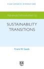 Advanced Introduction To Sustainability Transitions - Preview
