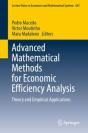 Advanced Mathematical Methods For Economic Efficiency Analysis - Preview
