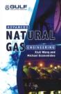 Advanced Natural Gas Engineering - Preview