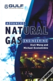 Capa do artigo Advanced Natural Gas Engineering