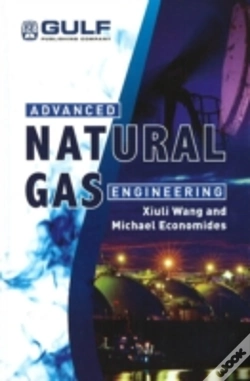Capa do artigo Advanced Natural Gas Engineering