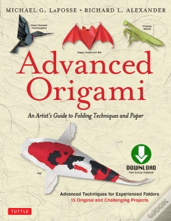 Capa do artigo Advanced Origami