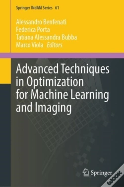 Capa do artigo Advanced Techniques In Optimization For Machine Learning And Imaging