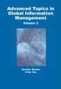 Advanced Topics In Global Information Management - Preview
