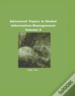 Advanced Topics In Global Information Management