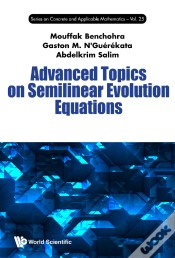 Capa do artigo Advanced Topics On Semilinear Evolution Equations