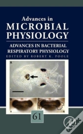 Advances In Bacterial Respiratory Physio