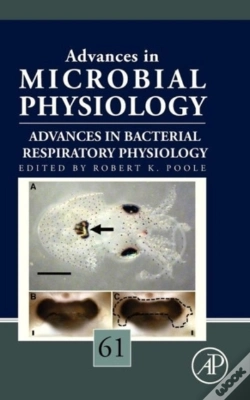Capa do artigo Advances In Bacterial Respiratory Physio