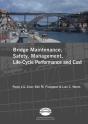 Advances In Bridge Maintenance, Safety Management, And Life-Cycle Performance, Set Of Book & Cd-Rom - Preview