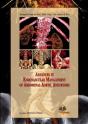 Advances In Endovascular Management Of Abdominal Aortic Aneurysms - Preview