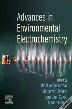 Capa do artigo Advances In Environmental Electrochemistry