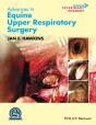 Advances In Equine Upper Respiratory Surgery - Preview