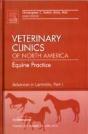 Advances In Laminitis, Part I, An Issue Of Veterinary Clinics: Equine Practice - Preview
