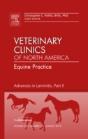 Advances In Laminitis, Part Ii, An Issue Of Veterinary Clinics: Equine Practice - Preview