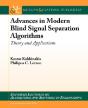 Advances In Modern Blind Signal Separation Algorithms - Preview