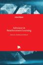 Advances In Reinforcement Learning - Preview