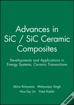 Capa do artigo Advances In Sic / Sic Ceramic Composites