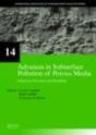 Advances In Subsurface Pollution Of Porous Media - Indicators, Processes And Modelling - Preview