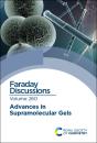 Advances In Supramolecular Gels - Preview