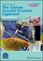 Advances In The Canine Cranial Cruciate Ligament - Preview