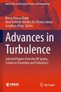 Advances In Turbulence - Preview