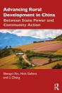 Advancing Rural Development In China - Preview