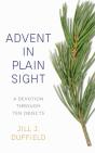 Advent In Plain Sight - Preview