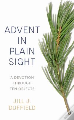 Capa do artigo Advent In Plain Sight