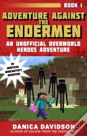 Capa do artigo Adventure Against The Endermen