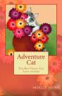 Adventure Cat - Preview