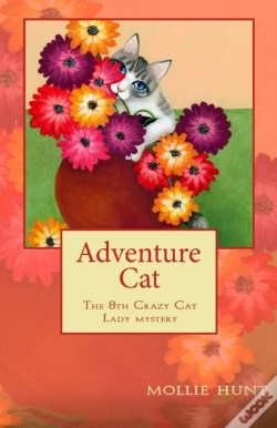 Capa do artigo Adventure Cat