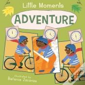 Capa do artigo Adventure
