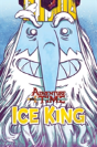 Adventure Time Ice King - Preview