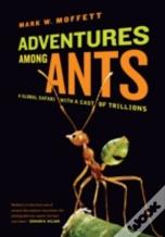Adventures Among Ants