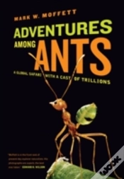 Capa do artigo Adventures Among Ants