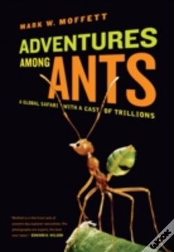 Capa do artigo Adventures Among Ants