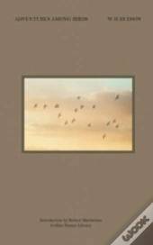 Adventures Among Birds