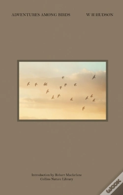 Capa do artigo Adventures Among Birds