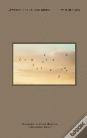 Capa do artigo Adventures Among Birds