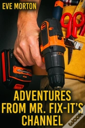 Capa do artigo Adventures From Mr. Fix It