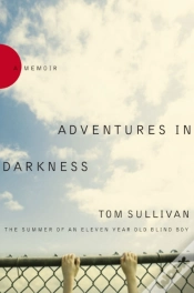 Capa do artigo Adventures In Darkness