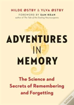 Capa do artigo Adventures In Memory