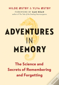 Capa do artigo Adventures In Memory