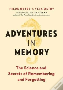 Capa do artigo Adventures In Memory