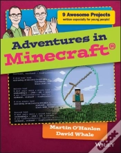 Capa do artigo Adventures In Minecraft