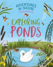 Adventures In Nature: Exploring Ponds