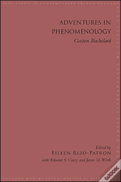 Capa do artigo Adventures In Phenomenology